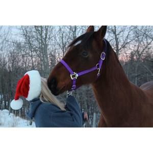 Meet your Posher, Alexandria